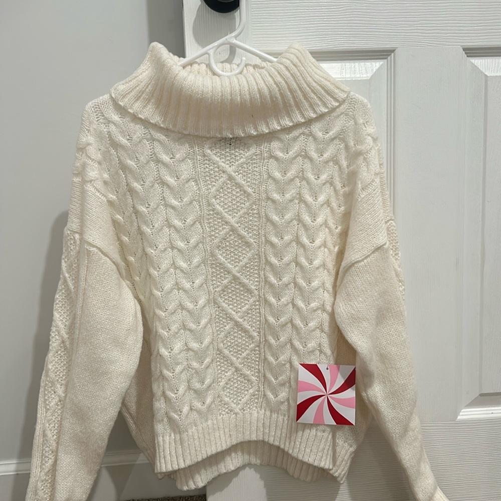 Chunky Turtle Neck Sweater